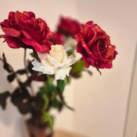 Апартаменты Coast Haven St Julians 22 2 Bedroom Сент Джулианс